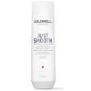Goldwell Dualsenses Just Smooth Taming Shampoo – Усмиряющий  шампунь для непослушных волос 250 мл, Объём: 250 мл