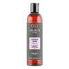 DIKSON ARGABETA Shampoo SHINE - Шампунь для окрашенных волос с маслами черной смородины, виноградных косточек и сладкого миндаля 250 мл, Объём: 250 мл