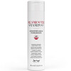 Be Hair Be Smooth Shampoo Rebellious & Frizzy Hair - Шампунь разглаживающий для непослушных волос 300 мл, Объём: 300 мл