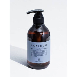 LAPIDEM S&A Shampoo - Холистический шампунь по уходу за скальпом Пять элементов 500 мл
