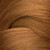 Redken Shades EQ Bonder Inside 06G St. Tropez - Краска-блеск без аммиака для тонирования 60 мл