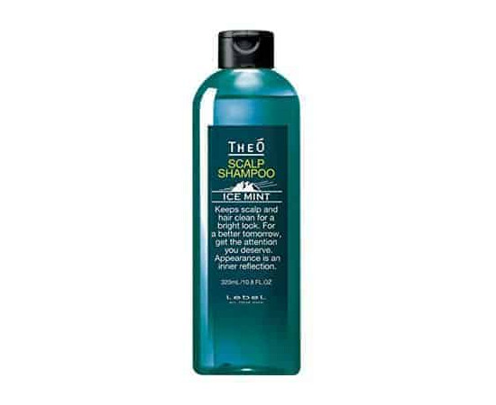 Lebel Theo Scalp Ice Mint Shampoo - Шампунь для мужчин 320 мл, Объём: 320 мл