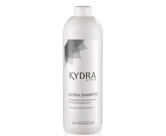 KYDRA SHAMPOO - Технический шампунь для окрашенных и блондированных волос 1000 мл, Объём: 1000 мл