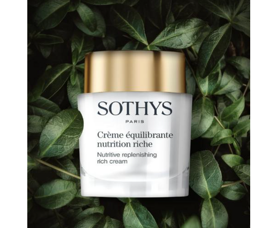 Sothys Ultra-Rich Nutritive Replenishing Cream - Ультраобогащенный питательный регенерирующий крем для лица 50мл, изображение 2